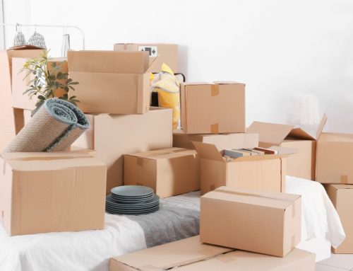 Packing List for Apartment Living
